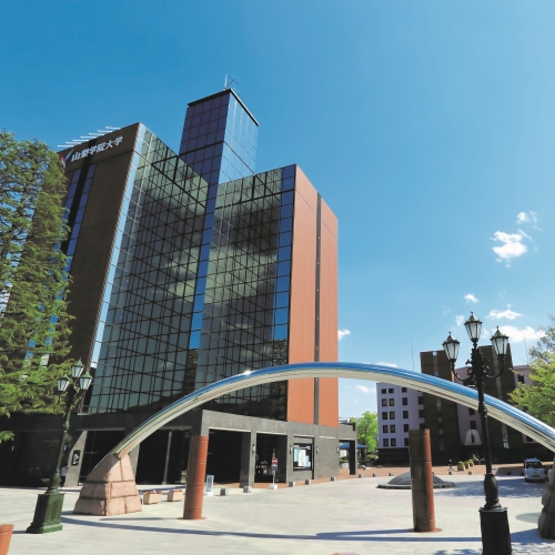 ���C���ʐ^