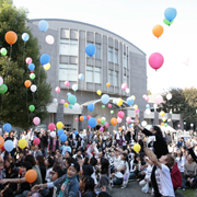 �V���L�����p�X�̊w����IVY Festa