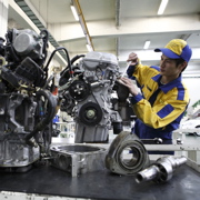 ���K���S�̃J���L������