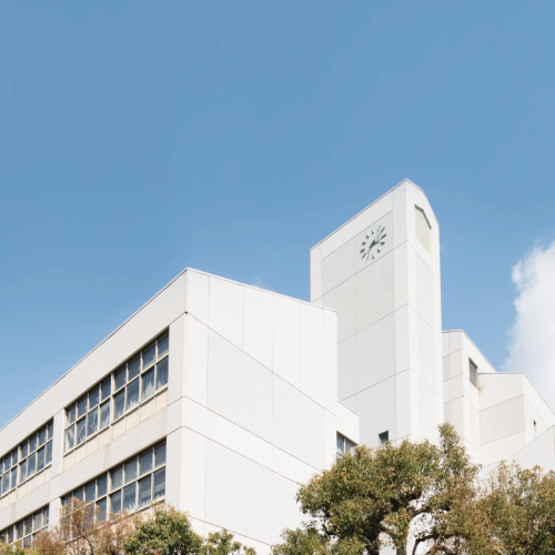 ���C���ʐ^