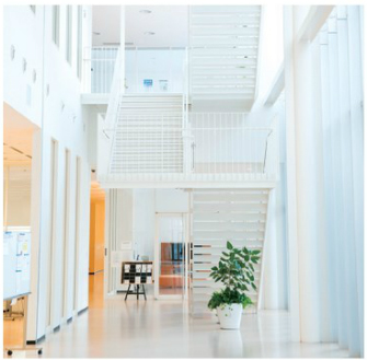 �����̔��������������L��