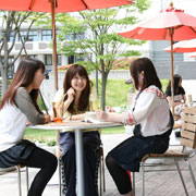 �݂�Ȃ̌e���̏ꏊ�m�{���[�j�A�n