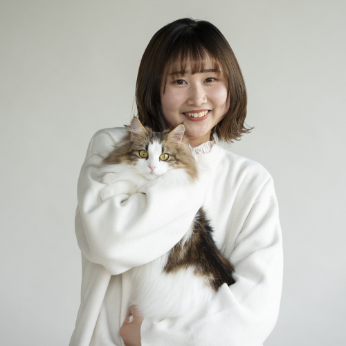 ���C���ʐ^