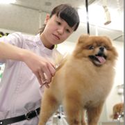 2�N�ԂŌܐ瓪�ȏ�̎��K��������