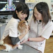 �b��t�A�����Ō�t���T�|�[�g����