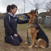 �x�@����V���[�h�b�O����Ă�