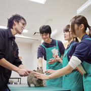 ���܂��܂Ȏ�����@�ɂ��Ċw��