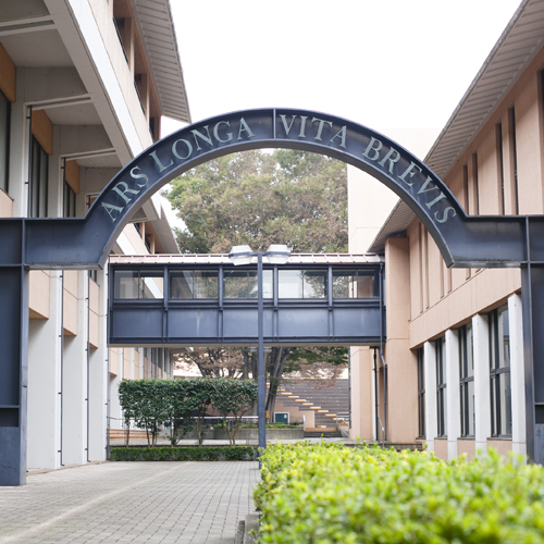 ���C���ʐ^