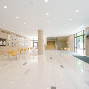 �e���̏�A�X�e���[�f���g�z�[��