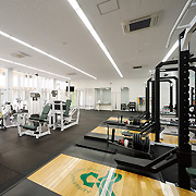 �w���̖{�i�I�g���[�j���O���[��