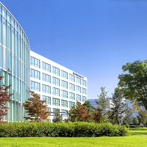 ���C���ʐ^