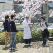 �����̉\�����v���؂�ǋ�