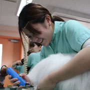 �����H�I�Ȏ��Ƃ�L�x�ɗp��