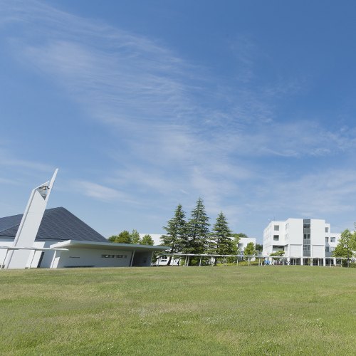 ���C���ʐ^