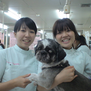 �������v���₳�����S�����