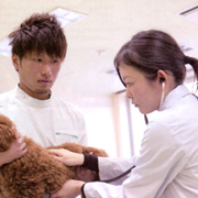 ��含���ɂߌ���̑���͂��߂���