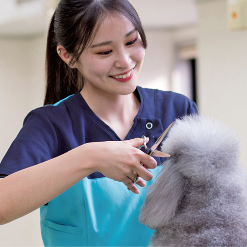 ���C���ʐ^