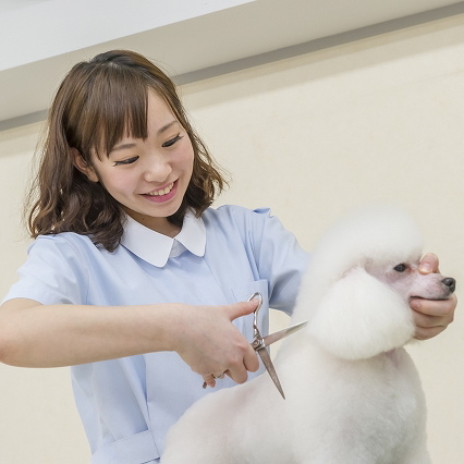 �g���~���O���K