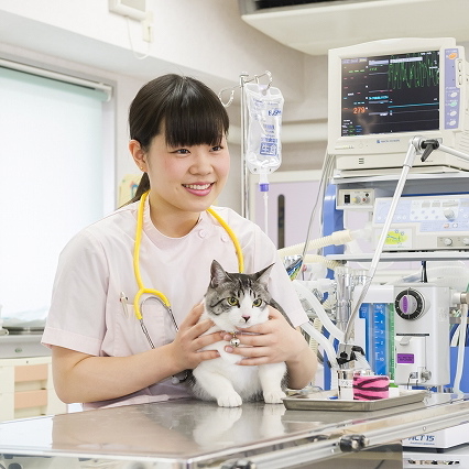 �����Ō���K