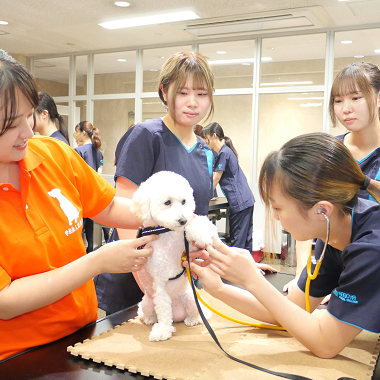 ���C���ʐ^