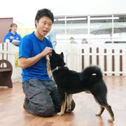 �e���̐����͎���������������