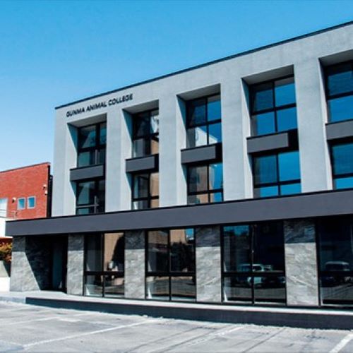 ���C���ʐ^