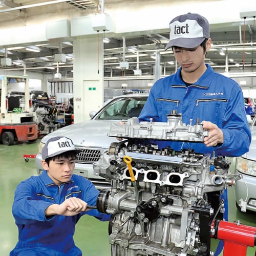 ���C���ʐ^