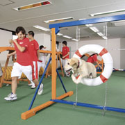 ���̎��\�͂������o���g���[�i�[