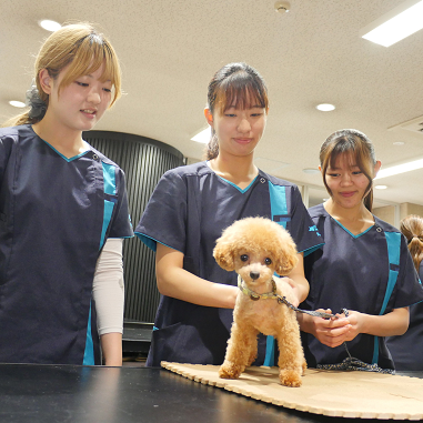 ���C���ʐ^