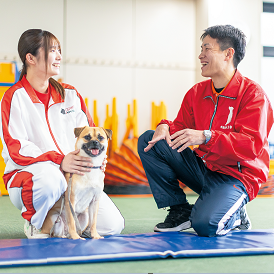 ���C���ʐ^