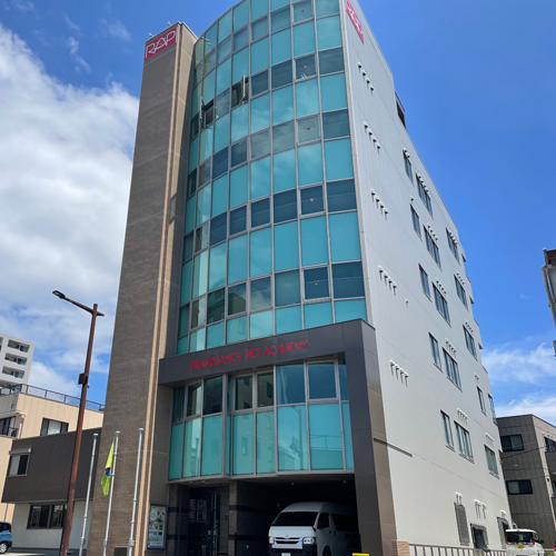 ���C���ʐ^