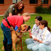 �C�O���ƂŌ��n������Ƃ�K��