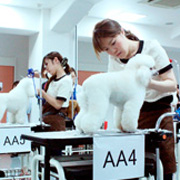 �S�����ɏo��I�����̎��͂𔭊�