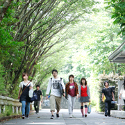 ���R�Ɉ͂܂ꂽ�Â��ȋ����