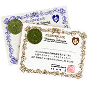 �J�^�`�Ɏc�鎑�i���擾���悤