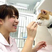 �M������y�b�g�̋~�����