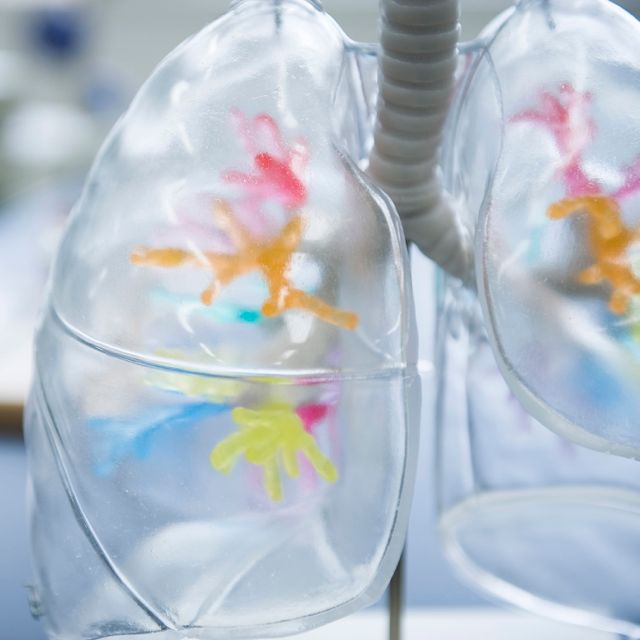 ��w���ɂ����Ȃ����K�{�݂�����