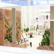 �͌^����A�F�ʊw�Ȃǂ��w�т܂�