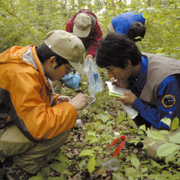 ���l�����Ŏ��H�I�Ȋw��