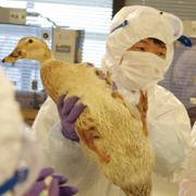 �����������~����K