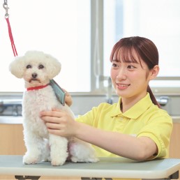 �w�Z�̓��F3