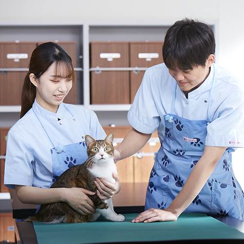 �w�Z�̓��F1