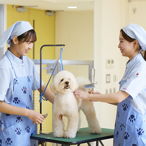 �w�Z�̓��F2