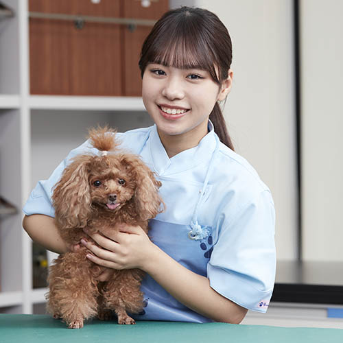 �w�Z�̓��F3