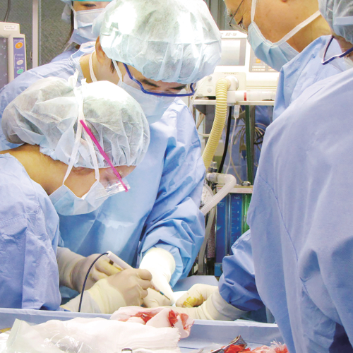 �w�Z�̓��F1