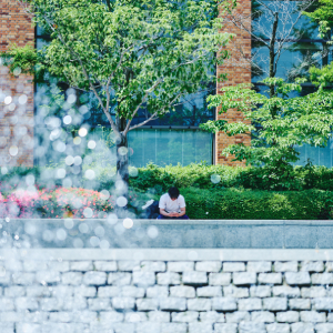 �w�Z�̓��F3