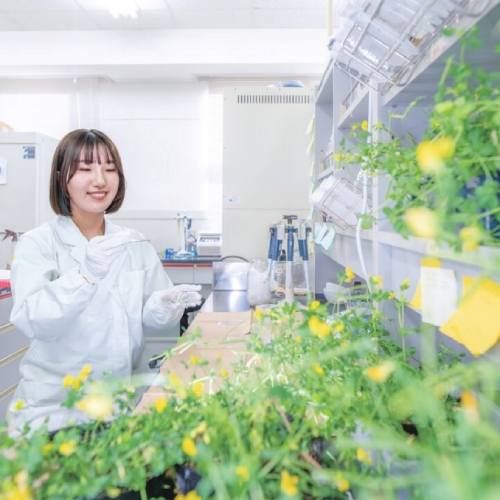 �w�Z�̓��F1