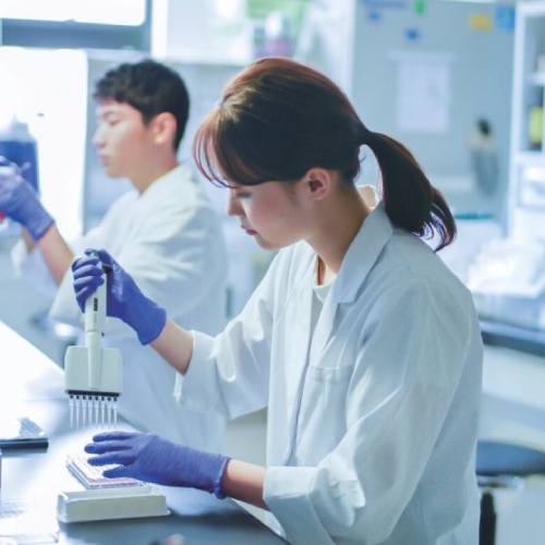 �w�Z�̓��F3