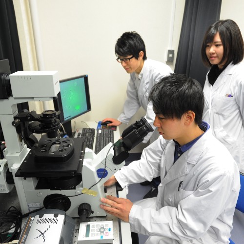 �w�Z�̓��F3