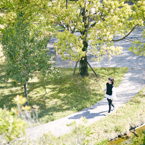 �w�Z�̓��F1